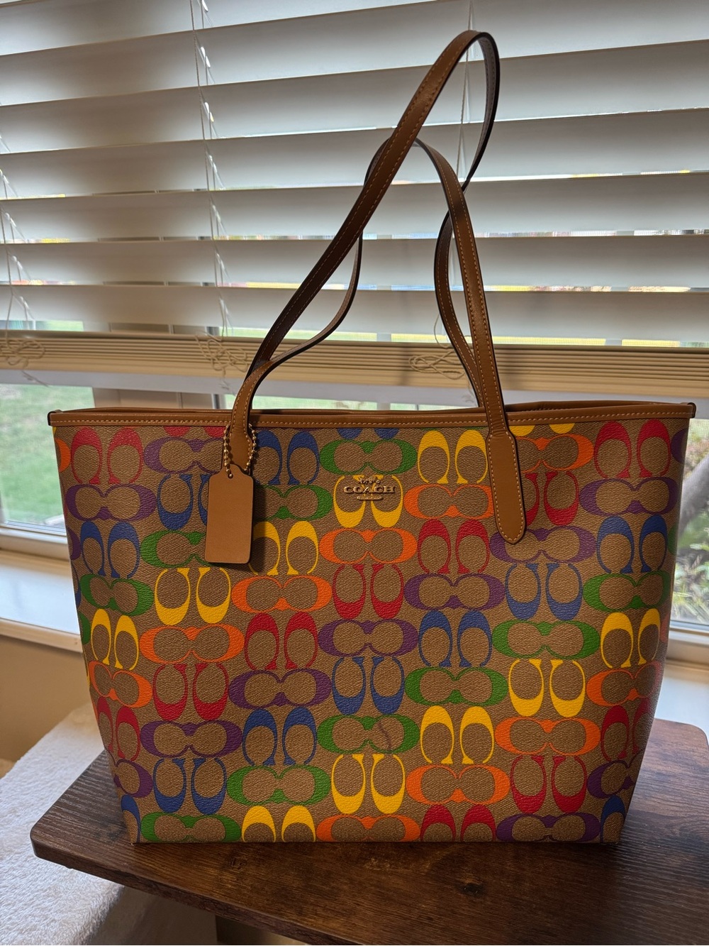 COACH Rainbow Signature Canvas City Tote Bag | Creed C2154-C4181